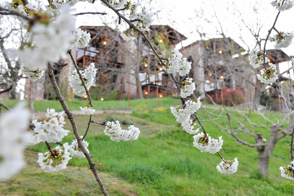 Vathyskia Guesthouse Kato Sinikia Trikalon Zewnętrze zdjęcie